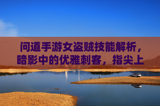 问道手游女盗贼技能解析，暗影中的优雅刺客，指尖上的致命一击，问道手游女盗贼技能解析，暗影中的优雅刺客与致命指尖术