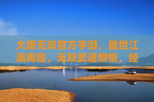 大唐无双官方手游，盛世江湖再临，无双武道燃情，经典武侠新篇章，大唐无双官方手游，盛世江湖再临，无双武道燃情，经典武侠新篇章