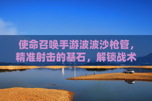 使命召唤手游波波沙枪管，精准射击的基石，解锁战术新维度，使命召唤手游波波沙枪管，精准射击的基石，解锁战术新维度