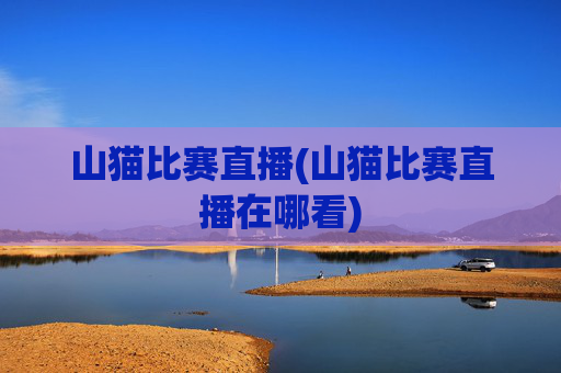 山猫比赛直播(山猫比赛直播在哪看)