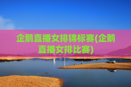 企鹅直播女排锦标赛(企鹅直播女排比赛)