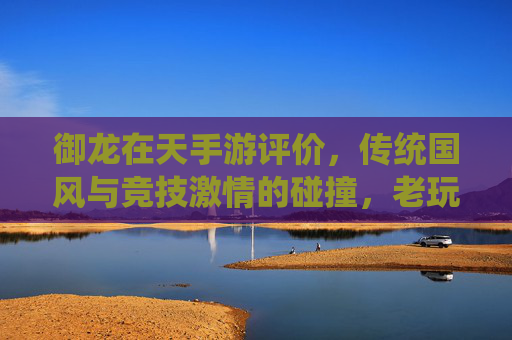 御龙在天手游评价,传统国风与竞技激情的碰撞,老玩家的情怀与新玩家的体验