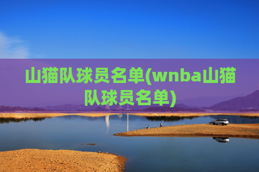 山猫队球员名单(wnba山猫队球员名单)