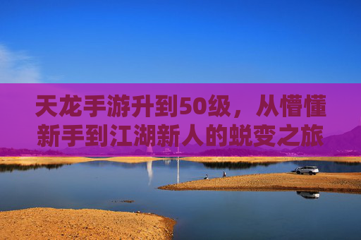 天龙手游升到50级,从懵懂新手到江湖新人的蜕变之旅,天龙手游50级成长,从懵懂新手到江湖新人的蜕变之旅
