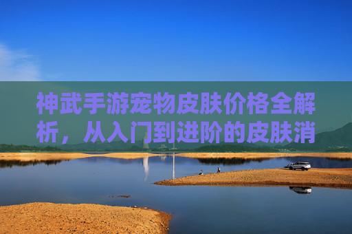 神武手游宠物皮肤价格全解析，从入门到进阶的皮肤消费指南，神武手游宠物皮肤价格全解析，从入门到进阶的皮肤消费指南