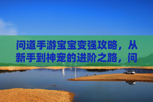 问道手游宝宝变强攻略,从新手到神宠的进阶之路,问道手游宝宝变强攻略,从新手到神宠的进阶之路