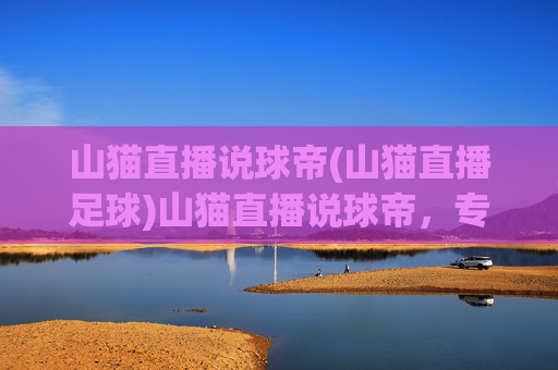 山猫直播说球帝(山猫直播足球)山猫直播说球帝,专业足球赛事直播与赛事分析平台