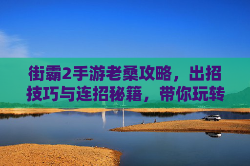 街霸2手游老桑攻略，出招技巧与连招秘籍，带你玩转经典角色，街霸2手游老桑攻略，出招技巧与连招秘籍，玩转经典角色