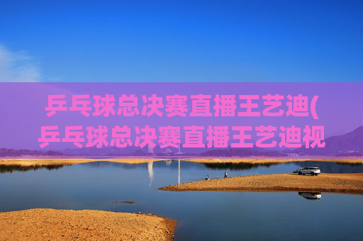 乒乓球总决赛直播王艺迪(乒乓球总决赛直播王艺迪视频)
