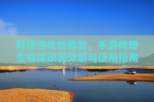 解锁游戏新体验，手游传奇生物修改器详解与使用指南，解锁游戏新体验，手游传奇生物修改器详解与使用指南