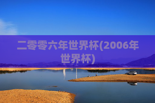 二零零六年世界杯(2006年世界杯)