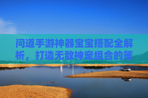问道手游神器宝宝搭配全解析，打造无敌神宠组合的策略与技巧，问道手游神器宝宝搭配全解析，打造无敌神宠组合的策略与技巧