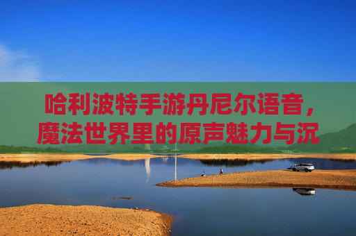 哈利波特手游丹尼尔语音,魔法世界里的原声魅力与沉浸式体验,哈利波特手游丹尼尔语音,魔法世界里的原声魅力与沉浸式体验