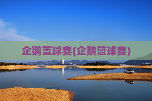 企鹅蓝球赛(企鹅篮球赛)