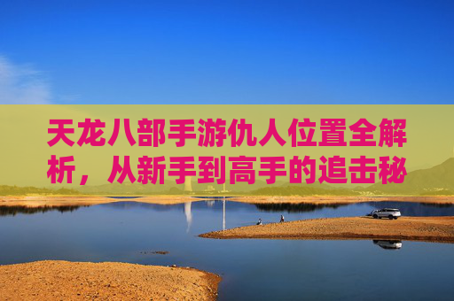 天龙八部手游仇人位置全解析，从新手到高手的追击秘籍，天龙八部手游仇人位置全解析，从新手到高手的追击秘籍