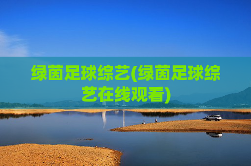 绿茵足球综艺(绿茵足球综艺在线观看)
