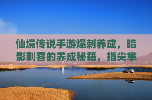 仙境传说手游爆刺养成，暗影刺客的养成秘籍，指尖掌控的致命一击，仙境传说手游爆刺养成，暗影刺客的致命一击秘籍