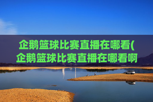 企鹅篮球比赛直播在哪看(企鹅篮球比赛直播在哪看啊)