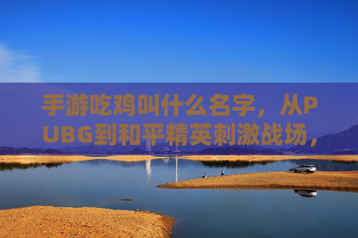 手游吃鸡叫什么名字，从PUBG到和平精英刺激战场，揭秘主流版本名称及发展脉络，手游吃鸡全解析，从PUBG到和平精英，主流版本名称与发展脉络揭秘