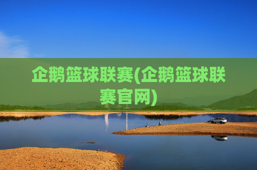 企鹅篮球联赛(企鹅篮球联赛官网)