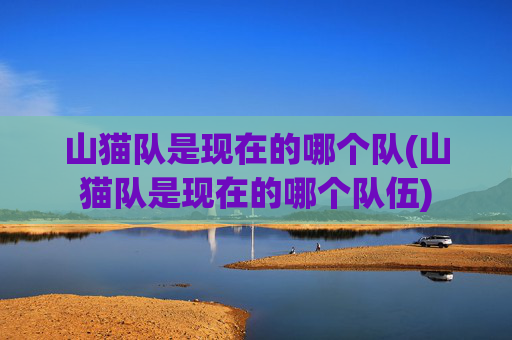 山猫队是现在的哪个队(山猫队是现在的哪个队伍)