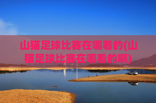 山猫足球比赛在哪看的(山猫足球比赛在哪看的啊)