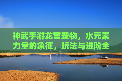 神武手游龙宫宠物,水元素力量的象征,玩法与进阶全解析,神武手游龙宫宠物,水元素力量的象征,玩法与进阶全解析