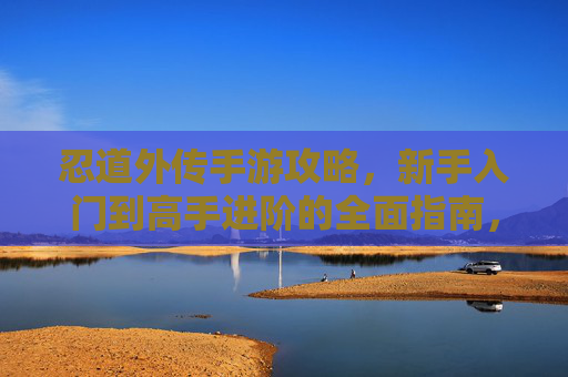 忍道外传手游攻略，新手入门到高手进阶的全面指南，忍道外传手游攻略，新手入门到高手进阶的全面指南