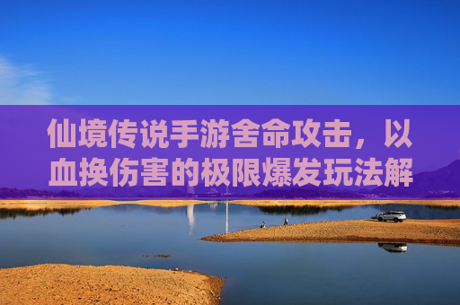 仙境传说手游舍命攻击，以血换伤害的极限爆发玩法解析，仙境传说手游舍命攻击，以血换伤害的极限爆发玩法解析