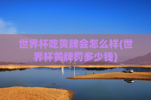 世界杯吃黄牌会怎么样(世界杯黄牌罚多少钱)