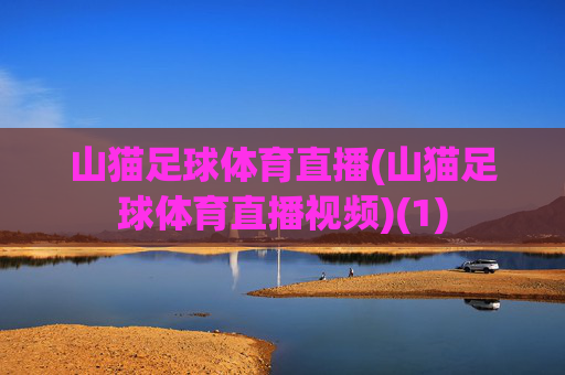 山猫足球体育直播(山猫足球体育直播视频)(1)
