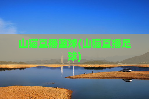 山猫直播蓝球(山猫直播足球)