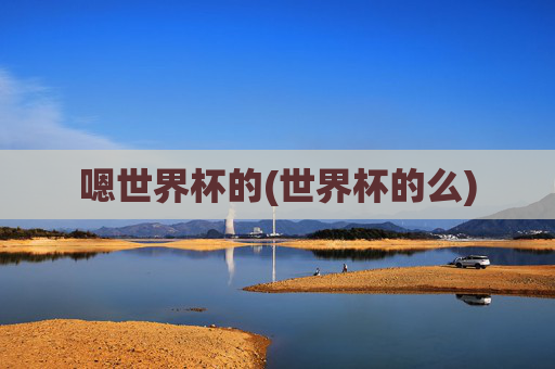 嗯世界杯的(世界杯的么)