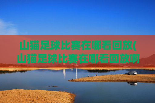 山猫足球比赛在哪看回放(山猫足球比赛在哪看回放啊)