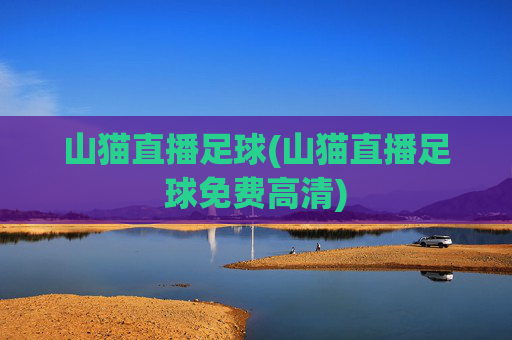 山猫直播足球(山猫直播足球免费高清)