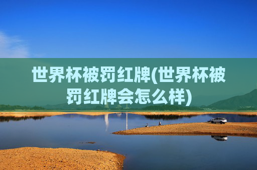 世界杯被罚红牌(世界杯被罚红牌会怎么样)