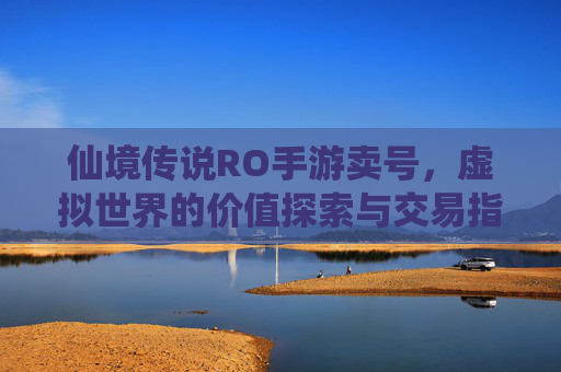 仙境传说RO手游卖号，虚拟世界的价值探索与交易指南——从数字资产到现实变现的权衡，仙境传说RO手游卖号，虚拟世界的价值探索与交易指南——从数字资产到现实变现的权衡