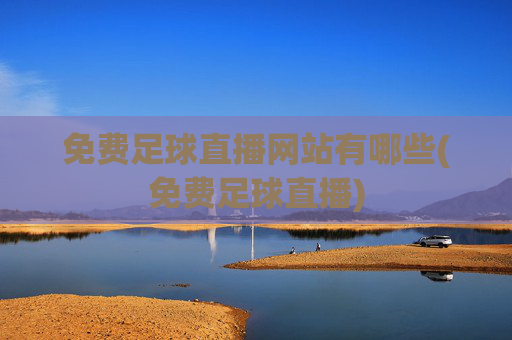免费足球直播网站有哪些(免费足球直播)
