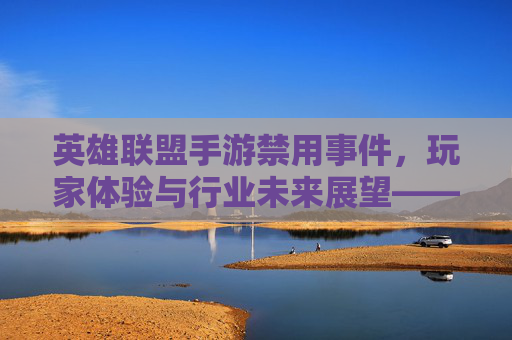英雄联盟手游禁用事件，玩家体验与行业未来展望——从禁用现象看游戏行业的平衡之道