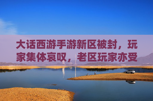 大话西游手游新区被封，玩家集体哀叹，老区玩家亦受波及，游戏生态再遇挑战，大话西游手游新区封停引玩家集体哀叹，老区玩家亦受波及，游戏生态再遇挑战