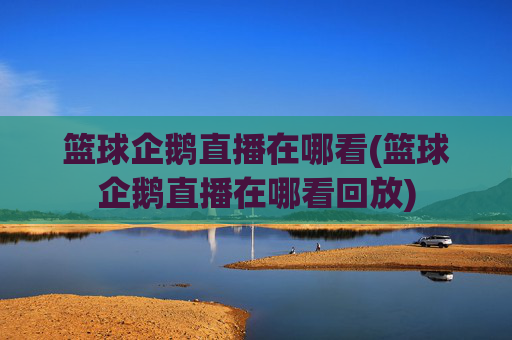 篮球企鹅直播在哪看(篮球企鹅直播在哪看回放)
