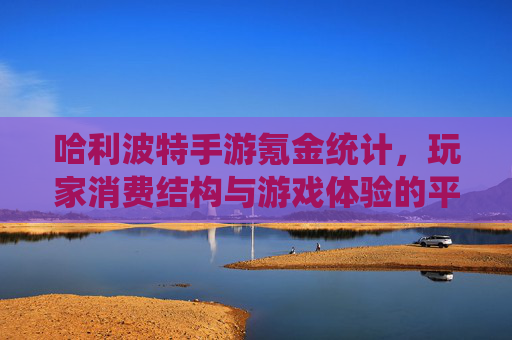哈利波特手游氪金统计，玩家消费结构与游戏体验的平衡分析，哈利波特手游氪金统计，玩家消费结构与游戏体验的平衡分析