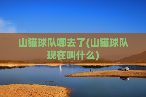 山猫球队哪去了(山猫球队现在叫什么)
