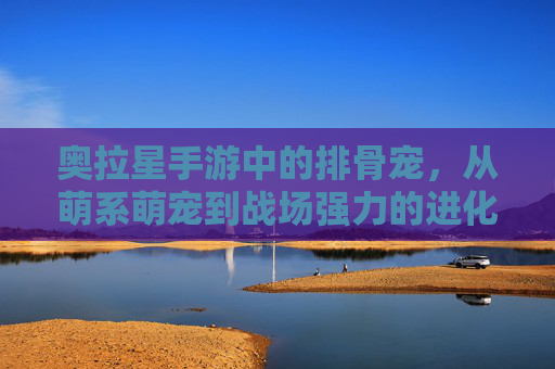 奥拉星手游中的排骨宠，从萌系萌宠到战场强力的进化之路，奥拉星手游排骨宠，从萌系萌宠到战场强力的进化之路