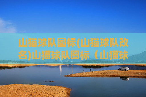 山猫球队图标(山猫球队改名)山猫球队图标(山猫球队改名)
