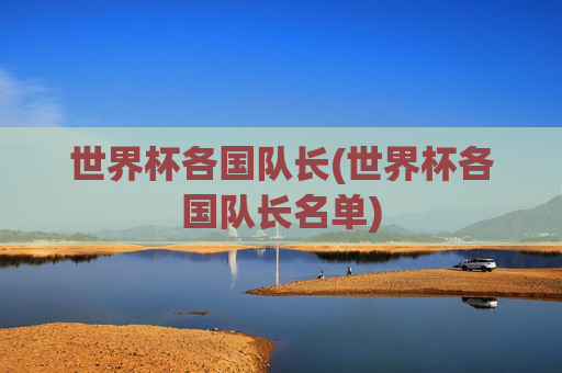 世界杯各国队长(世界杯各国队长名单)