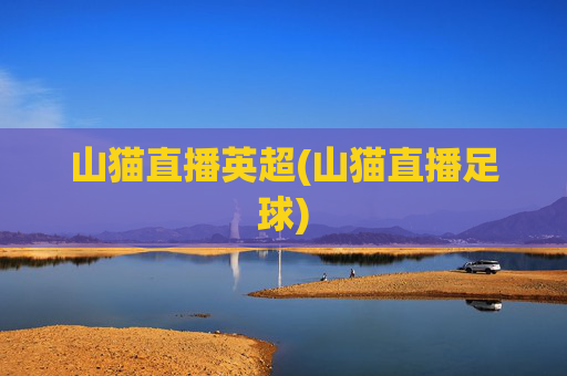 山猫直播英超(山猫直播足球)