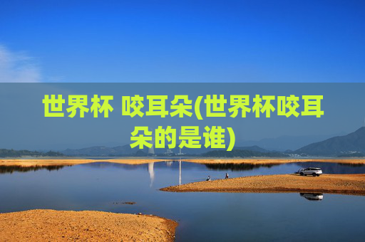 世界杯 咬耳朵(世界杯咬耳朵的是谁)