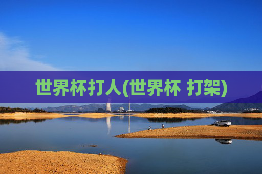 世界杯打人(世界杯 打架)