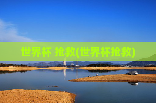 世界杯 抢救(世界杯抢救)